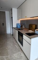 Amber Park (D15), Condominium #428210141